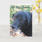 Pet Sympathie Kaart (Gele Bloem)