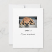 Pet Sympathie Merci Réponse Photo Carte Plat (Dos)