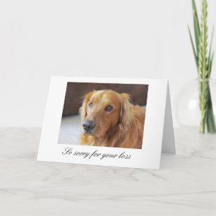 Pet Sympathikaart met Golden Retriever Kaart