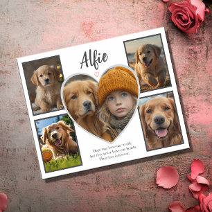 Pet Sympathy 5 Fotocollage Kaart