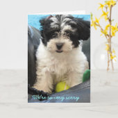 Pet Sympathy - Havanese puppy. ... Kaart (Gele Bloem)