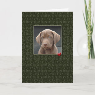 Pet Sympathy Verlies van Kaarten