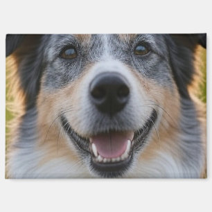 Pet toevoegen Foto aanpassen Magneet