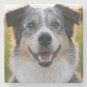 Pet toevoegen Foto aanpassen Stenen Onderzetter