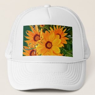 Pet van Afrikaanse Daisies