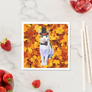 Pet van Cleopatra Servet