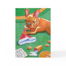 Pet van de Franse Bulldog Santa