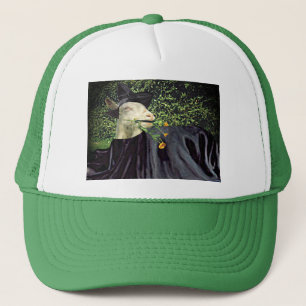 Pet van de Goat van de Tovenaar van Halloween