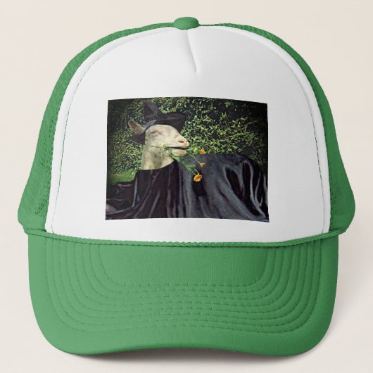 Pet van de Goat van de Tovenaar van Halloween (Voorkant)