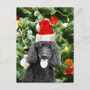 Pet van de Kerstman van de Sneeuwman van de Feestdagenkaart