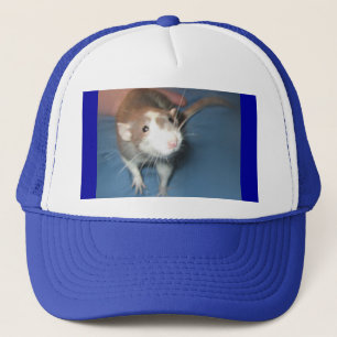 PET VAN DE KROMTERAT