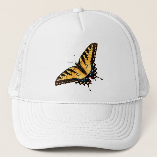 Pet van de swallowtail Butterfly (Voorkant)