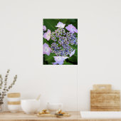 Pet van lavendel Hydrangea Bloom Poster (Keuken)