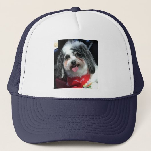 pet, vrouwen, mannen, hond, foto K-Cee Trucker Pet (Voorkant)