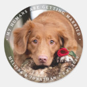 Pet Wedding Personalized Dog Photo Verloving Ronde Sticker (Voorkant)