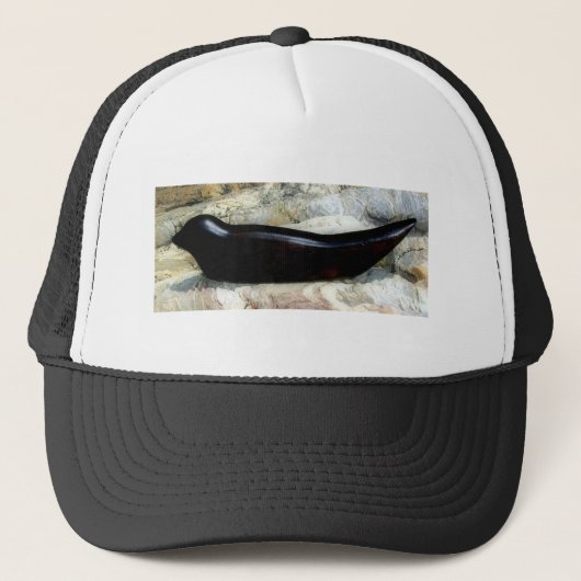 pet zwarte zeehond (Voorkant)