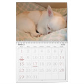 Petal-Anne Calendar Kalender (Mar 2026)