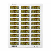 Petal Fringe Calendula Etiket (Full Sheet)