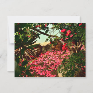 Petal Haven aan de rand van het water Briefkaart