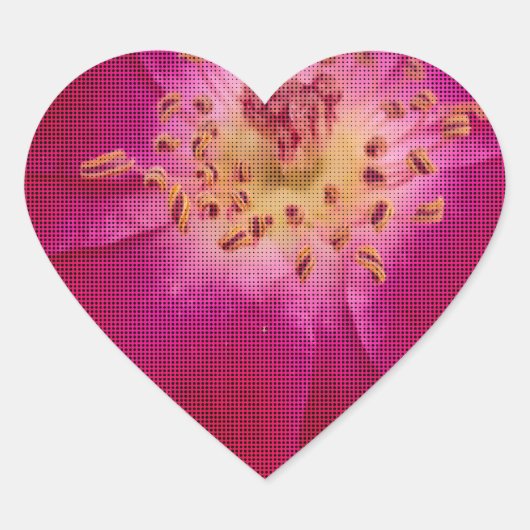 Petal Perfection: Geruit Roos Petal Pattern Art Hart Sticker (Voorkant)
