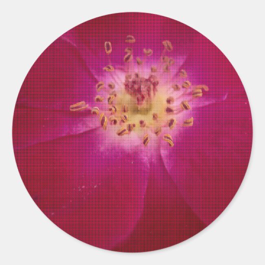 Petal Perfection: Geruit Roos Petal Pattern Art Ronde Sticker (Voorkant)