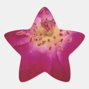 Petal Perfection: Geruit Roos Petal Pattern Art Ster Sticker