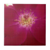 Petal Perfection: Geruit Roos Petal Pattern Art Tegeltje (Voorkant)