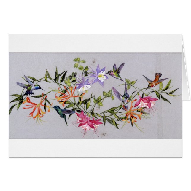Pétales de colibri enveloppants (Devant horizontal)