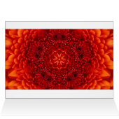 PÉTALES DE FLEURS DE DAHLIA ROUGE (Intérieur Horizontal (Haut))