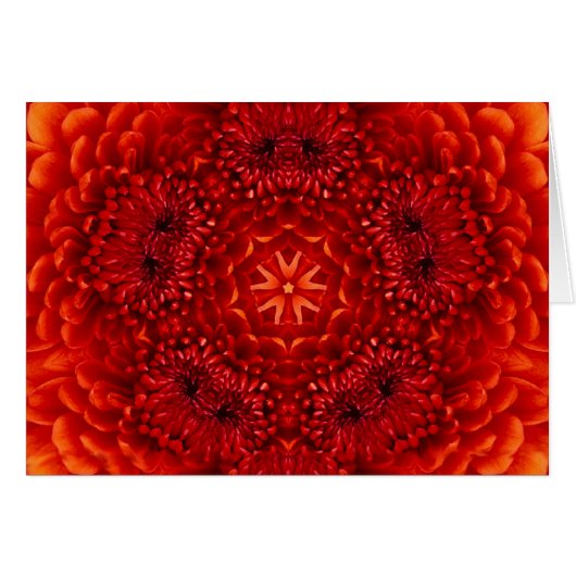 PÉTALES DE FLEURS DE DAHLIA ROUGE (Devant horizontal)