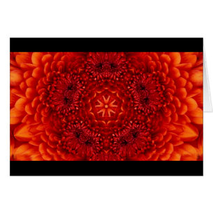 PÉTALES DE FLEURS DE DAHLIA ROUGE