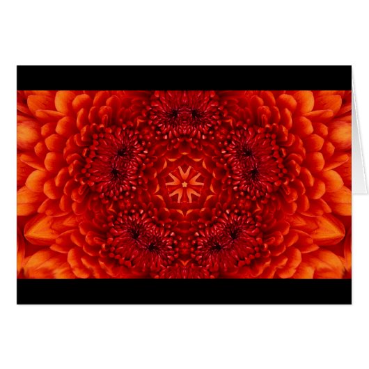 PÉTALES DE FLEURS DE DAHLIA ROUGE (Devant horizontal)