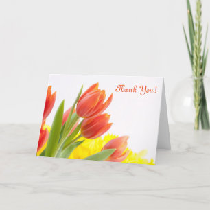 Pétales de fleurs de tulipes Orange Merci naturel
