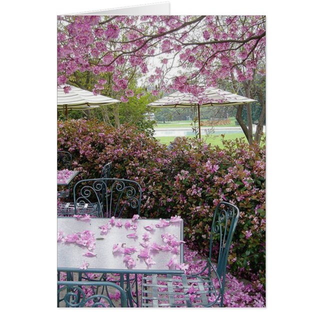 pétales en abondance (Devant)