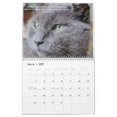 Pétales Feather & Friends 2022 Calendrier avec cit (Mar 2027)