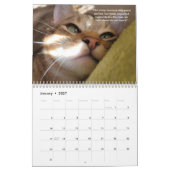 Pétales Feather & Friends 2022 Calendrier avec cit (Jan 2027)