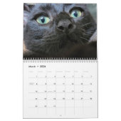 Pétales Plumes et amis Calendrier 2023 (Mar 2026)