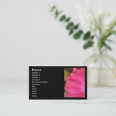 Pétales roses de Gerbena sur le carte de visite (Debout devant)