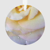 Pétales roses jaunes (dos)