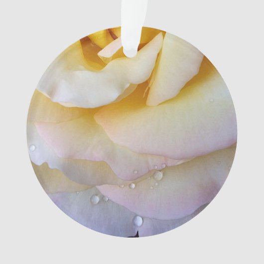 Pétales roses jaunes (devant)