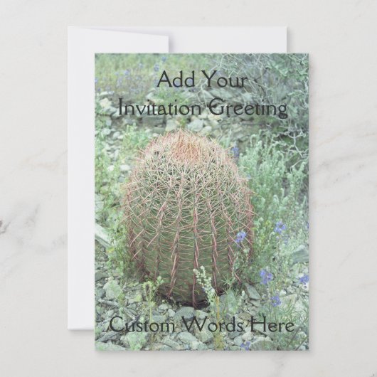 Pétales roses Prickly Cactus Invitations du désert (Devant)