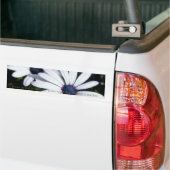 Petals 5-Bumpersticker Bumpersticker (Op Truck)