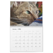 Petals Feather en Vrienden Agenda 2023 Kalender (Jan 2026)