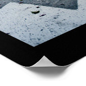 Petals Poster (Hoek)