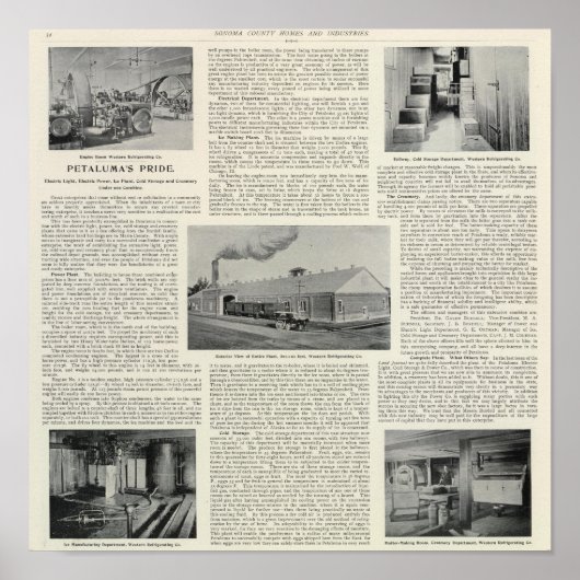 Petaluma's Pride, Californië Poster (Voorkant)