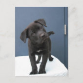 Pete Briefkaart (Voorkant)