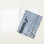 Pete de Pelikaan Planner (Display)