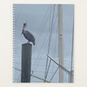 Pete de Pelikaan Planner (Voorkant)