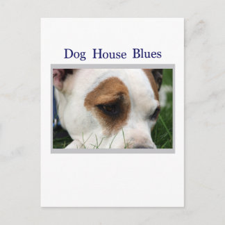 Pete Pit1 Briefkaart