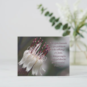 Peter 4:13 Inspirerend Floral Briefkaart